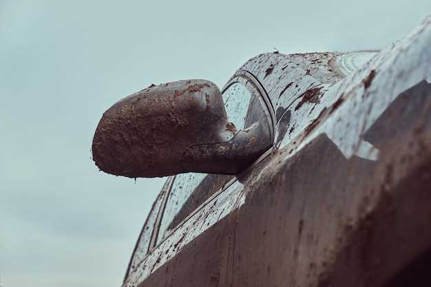How bird droppings affect automotive paint