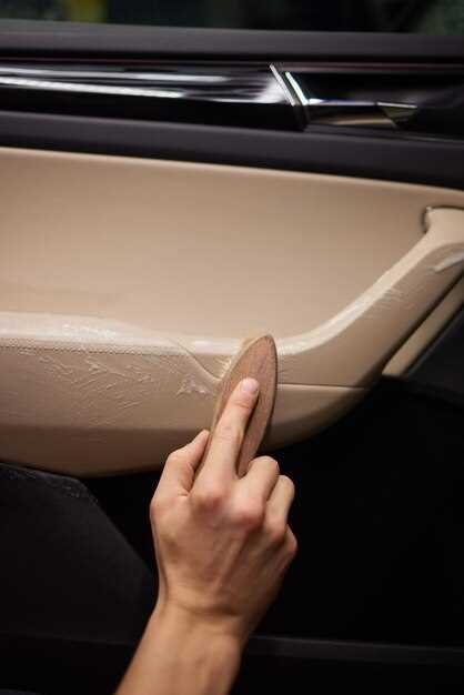 Assessing Damage and Preparing the Plastic Trim