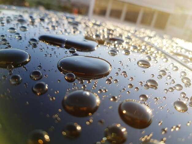 Comparing Different Paint Protection Products for Longevity